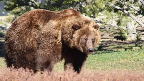 Pg电子试玩模拟器